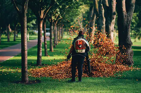 leaf blower